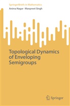 Anima Nagar, Manpreet Singh - Topological Dynamics of Enveloping Semigroups
