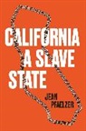 Jean Pfaelzer, Pfaelzer Jean - California, a Slave State
