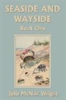 Julia Macnair Wright, Julia McNair Wright - Seaside and Wayside, Book One (Yesterday's Classics)