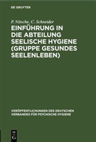 P. Nitsche, C. Schneider - Einführung in die Abteilung Seelische Hygiene (Gruppe Gesundes Seelenleben)