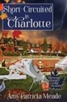 Amy Patricia Meade - Short-Circuited in Charlotte