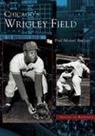 Paul Michael Peterson - Chicago's Wrigley Field