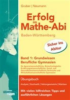 Helmut Gruber, Robert Neumann - Erfolg im Mathe-Abi Baden-Württemberg Berufliche Gymnasien Band 1: Grundwissen