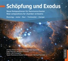 Gerhard Sammer, Tiroler Kammerorchester InnStrumenti - Schöpfung und Exodus (Audio book)
