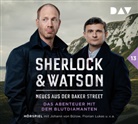 Viviane Koppelmann, Johann von Bülow, Stefan Kaminski, Florian Lukas, Leonhard Koppelmann - Sherlock & Watson - Neues aus der Baker Street: Das Abenteuer mit dem Blutdiamanten (Fall 13), 2 Audio-CD (Audio book)