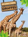 Amy Culliford - Giraffes