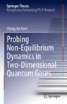 Cheng-An Chen - Probing Non-Equilibrium Dynamics in Two-Dimensional Quantum Gases