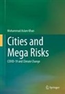 Mohammad Aslam Khan - Cities and Mega Risks