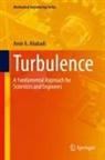 Amir A Aliabadi, Amir A. Aliabadi - Turbulence