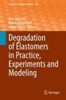 Gert Heinrich, Reinhold Kipscholl, Radek Sto¿ek, Radek Stocek - Degradation of Elastomers in Practice, Experiments and Modeling