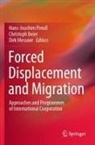 Christoph Beier, Dirk Messner, Hans-Joachim Preuß - Forced Displacement and Migration