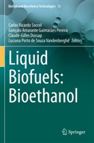 Soung Liew, Lu Lu, Shengli Zhang, Gonçalo Amarante Guimarães Pereira, Claude-Gilles Dussap, Dussap et al... - Liquid Biofuels: Bioethanol