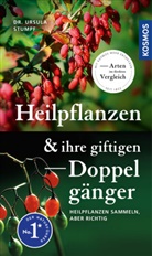 Ursula Stumpf, Ursula (Dr.) Stumpf, Marianne Golte-Bechtle, Wolfgang Lang - Heilpflanzen und ihre giftigen Doppelgänger