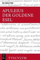 Apuleius, Niklas Holzberg - Der Goldene Esel oder Metamorphosen