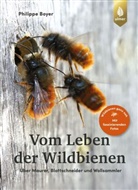 Philippe Boyer - Vom Leben der Wildbienen