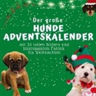 Bibi Hübsch - Der grosse Hunde-Adventskalender