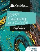 The Association For Science Education - Addysgu Cemeg yn yr Uwchradd (Teaching Secondary Chemistry 3rd Edition Welsh Language edition)