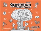 Susanna Reed, Susannah Reed, Reed Susannah - Greenman and the Magic Forest Level B Activity Book