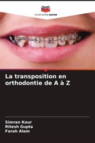 Farah Alam, Ritesh Gupta, Simran Kour - La transposition en orthodontie de A à Z