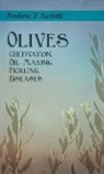 Frederic T Bioletti, Frederic T. Bioletti, Geo E Colby, Geo E. Colby - Olives - Cultivation, Oil-Making, Pickling, Diseases