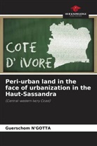 Guerschom N'Gotta - Peri-urban land in the face of urbanization in the Haut-Sassandra