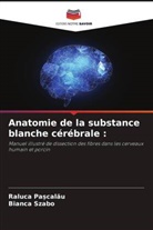 Raluca Pa_calau, Raluca Pa¿cal¿u, Bianca Szabo - Anatomie de la substance blanche cérébrale :
