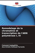 Ann-Kristin Östlund Farrants, Fatemeh Sadeghifar - Remodelage de la chromatine et transcription de l'ARN polymérase I, III