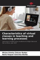 Mirian Estela Chávez Rodas, Naila Raquel Sánchez Borba - Characteristics of virtual classes in teaching and learning processes