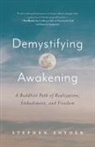 Stephen Snyder - Demystifying Awakening