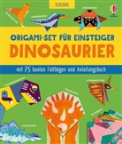 Lucy Bowman, Sarah Allen - Origami-Set für Einsteiger: Dinosaurier