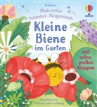Anna Milbourne, Lisa Molloy - Mein erstes Entdecker-Klappenbuch: Kleine Biene im Garten