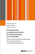 Katja Kansteiner, Susa Schmid, Susanne Schmid, Sabine Welther - Professionelle Lerngemeinschaften für Schulleitungen und Lehrkräfte
