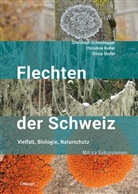 Keller, Chri Keller, Christine Keller, Christoph Scheidegger, Silvia Stofer - Flechten der Schweiz