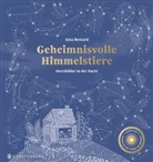 Aina Bestard, Ursula Bachhausen - Geheimnisvolle Himmelstiere