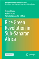 Yukichi Mano, Keijiro Otsuka, Kazushi Takahashi - Rice Green Revolution in Sub-Saharan Africa
