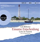 Gil Ribeiro, Andreas Pietschmann - Einsame Entscheidung, 1 Audio-CD, 1 MP3 (Hörbuch)