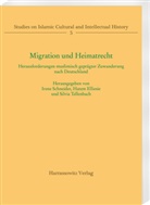 Hatem Elliesie, Irene Schneider, Silvia Tellenbach - Migration und Heimatrecht