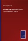 Emanuel Swedenborg - Angelic Wisdom concerning the Divine Love and the Divine Wisdom