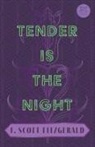 F. Scott Fitzgerald - Tender is the Night