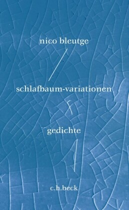 Nico Bleutge - schlafbaum-variationen - gedichte