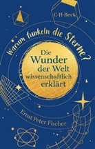 Ernst P. Fischer - Warum funkeln die Sterne?