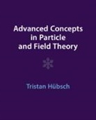 Tristan (Howard University Hubsch, Tristan Hübsch - Advanced Concepts in Particle and Field Theory