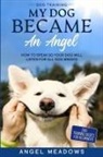 Angel Meadows - Dog Training