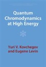Yuri V. Kovchegov, Yuri V. (Ohio State University) Kovchegov, Yuri V. (Ohio State University) Levin Kovchegov, Kovchegov Yuri V., Eugene Levin, Eugene (Tel-Aviv University) Levin... - Quantum Chromodynamics At High Energy