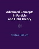 Tristan (Howard University Hubsch, Tristan Hübsch - Advanced Concepts in Particle and Field Theory