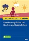Felix Euler, Anke Felber, Dörte Grasmann - Therapie-Tools Emotionsregulation bei Kindern und Jugendlichen