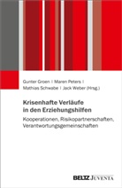 Gunter Groen, Maren Peters, Mathias Schwabe, Mathias Schwabe u a, Jack Weber - Krisenhafte Verläufe in den Erziehungshilfen