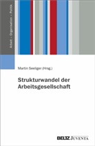Martin Seeliger - Strukturwandel der Arbeitsgesellschaft