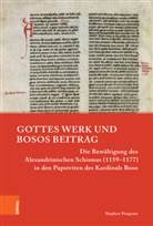 Stephan Pongratz - Gottes Werk und Bosos Beitrag