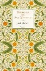 Historia de San Michele